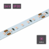 Flexible LED Strip Light | Series 5 | 14.4W/m 120 LED/m 24V Purple IP20 5M