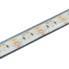 Flexible LED Strip Light | 12V 19.2W/m 120 LED/m Dual White & Orange IP68 5M